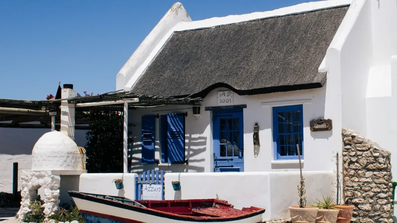 Beetle Infestation Certificates in South African Property Deals
